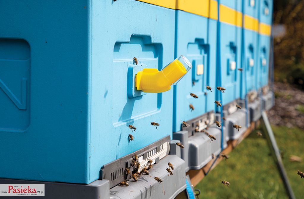 „Chcę się dzielić wiedzą” Rozmowa ze Zdzisławem Żurem, pszczelarzem-wynalazcą